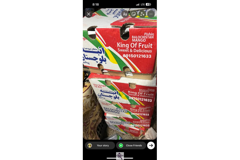 صادرات و تامین کننده میوه گرمسیری انبه گواوا پاپایا در چابهار