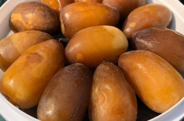 خرما و رطب کبکاب پاریو در خشت