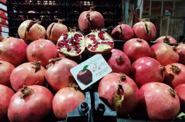 بارفروشی برادران شکری در سنندج