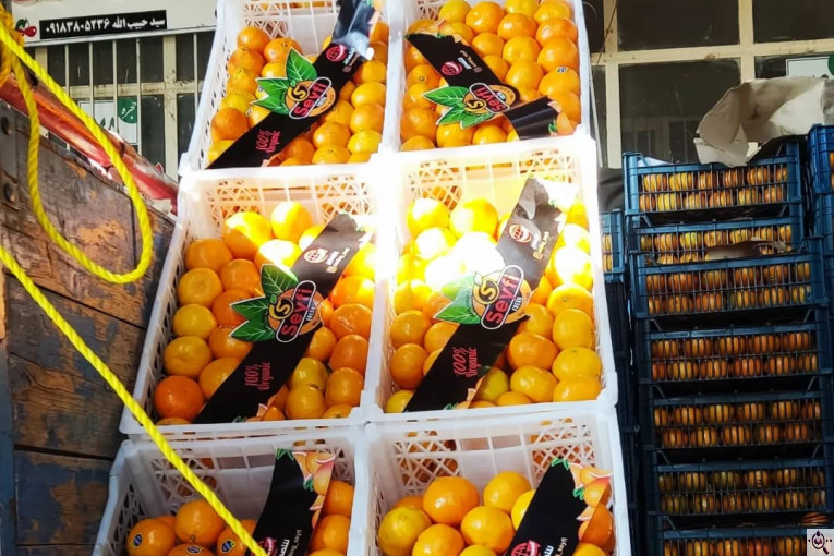 بارفروشی برادران شکری در سنندج