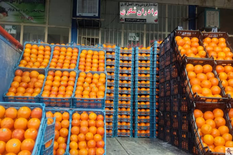 بارفروشی برادران شکری در سنندج