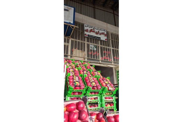 بارفروشی برادران شکری در سنندج