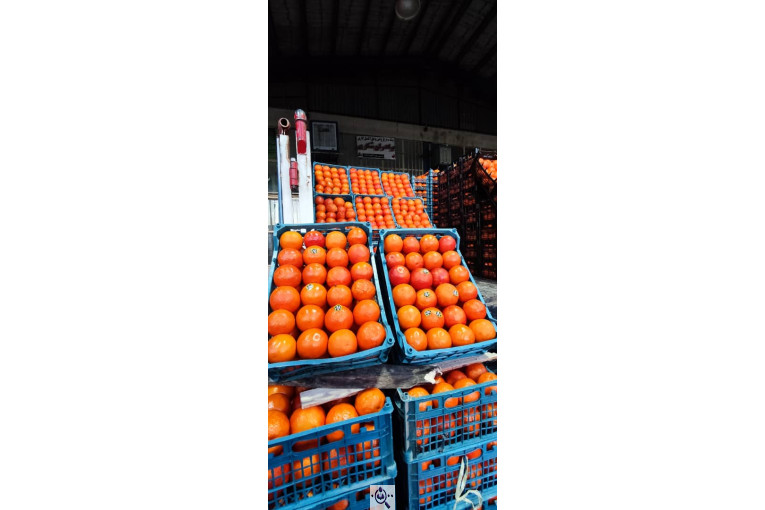 بارفروشی برادران شکری در سنندج