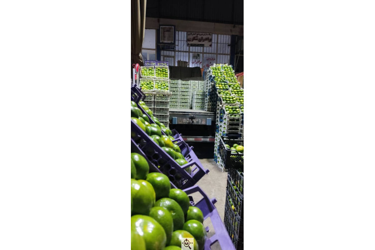 بارفروشی برادران شکری در سنندج