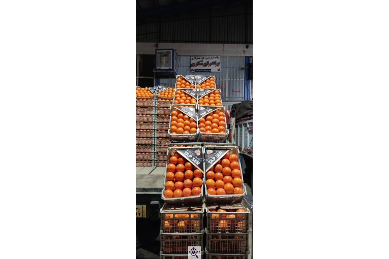 بارفروشی برادران شکری در سنندج