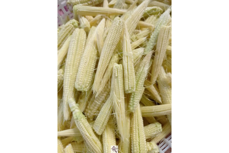 خیارشور و ترشی جات اخوان صفایی پور در همدان