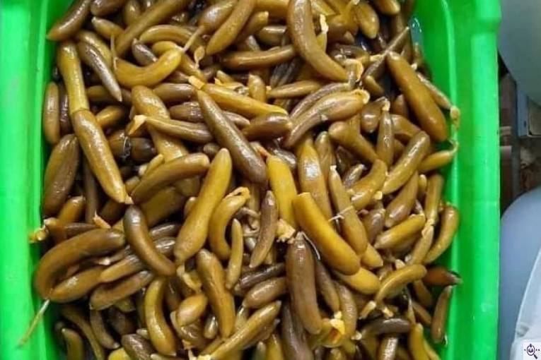 خیارشور و ترشی جات اخوان صفایی پور در همدان
