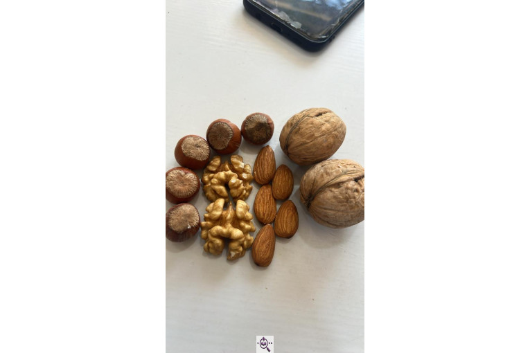 شرکت آرمان پیشرو زرین دانه (برند خوبیتو)