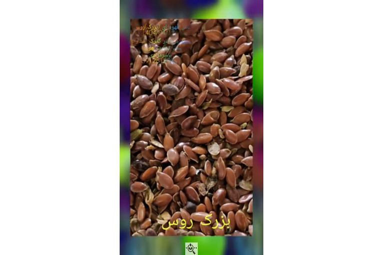 واردات تخصصی ارزن روس از روسیه در آستارا