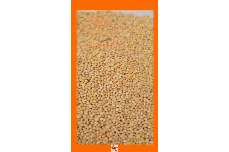 واردات تخصصی ارزن روس از روسیه در آستارا