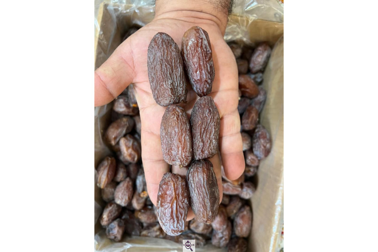 صادرات و بازرگانی خرما ابوالفضل در حاجی آباد هرمزگان