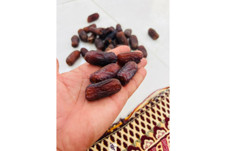 صادرات و بازرگانی خرما ابوالفضل در حاجی آباد هرمزگان
