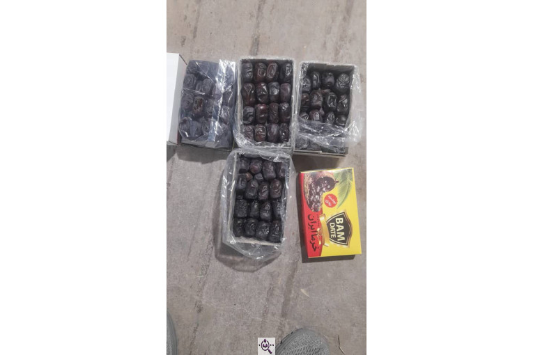 صادرات و بازرگانی خرما ابوالفضل در حاجی آباد هرمزگان