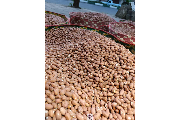 آجیل و خشکبار امیرخان در آستانه اشرفیه