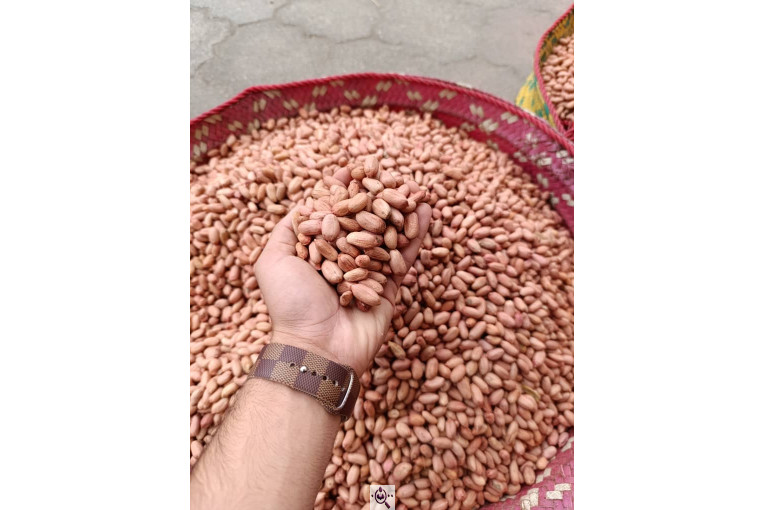 آجیل و خشکبار امیرخان در آستانه اشرفیه