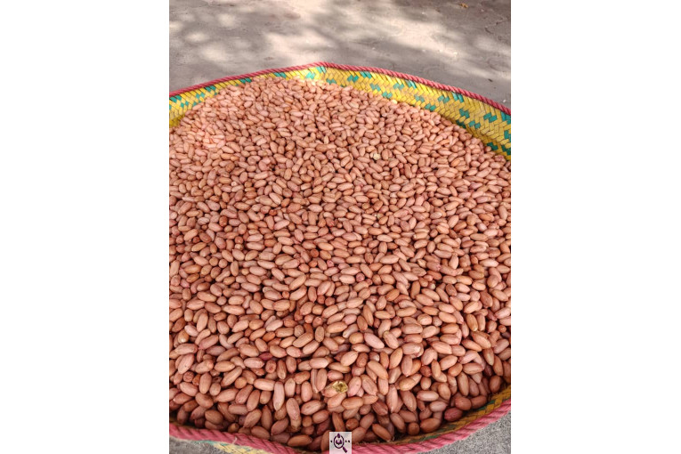 آجیل و خشکبار امیرخان در آستانه اشرفیه