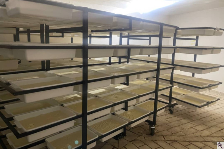 تولید کننده پنیر پیتزا نایس دایس در ارومیه