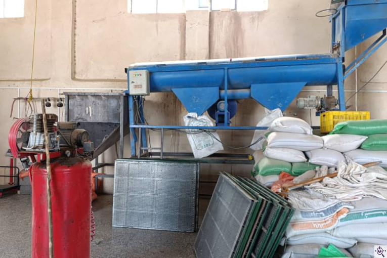 محصولات کشاورزی حبوبات و غلات دردانه در خیرآباد زنجان