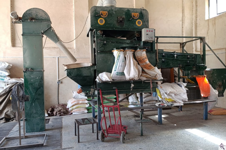 محصولات کشاورزی حبوبات و غلات دردانه در خیرآباد زنجان