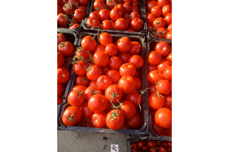 بارفروشی و حق العمل کاری کریم پور در اردبیل