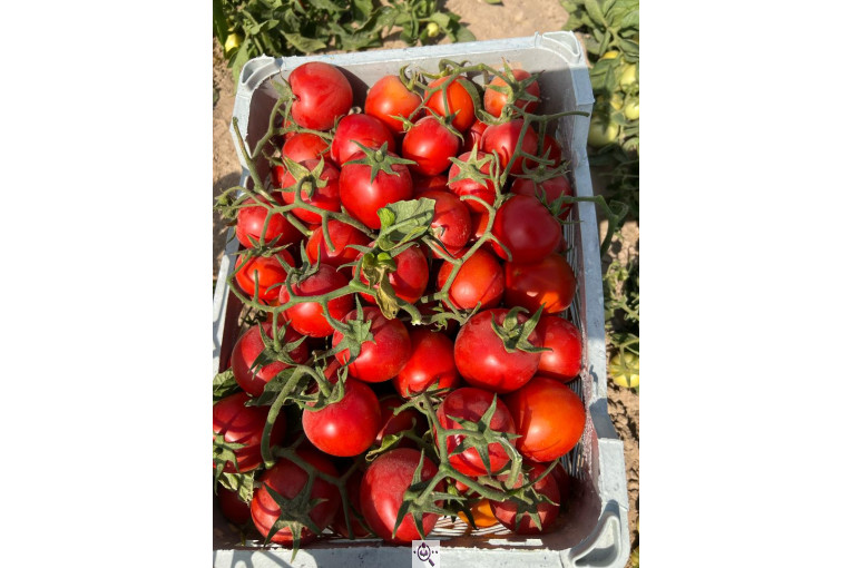 بارفروشی و حق العمل کاری کریم پور در اردبیل