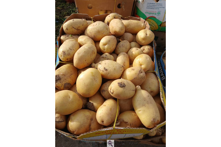 بارفروشی و حق العمل کاری کریم پور در اردبیل