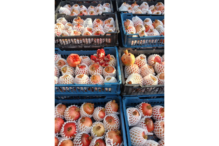 بارفروشی و حق العمل کاری کریم پور در اردبیل