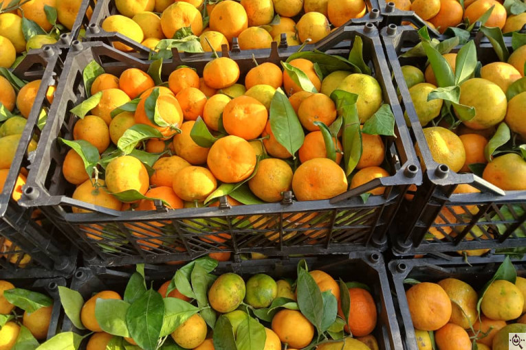 بارفروشی و حق العمل کاری کریم پور در اردبیل