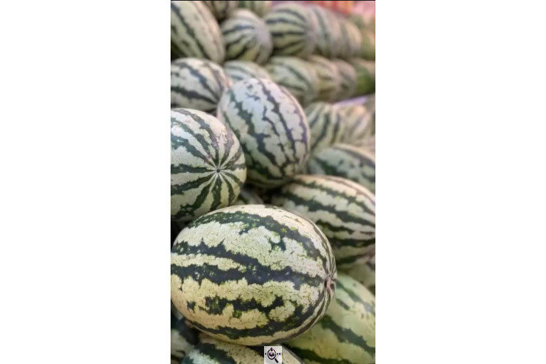 سوپر میوه باغ بهشت در مشهد