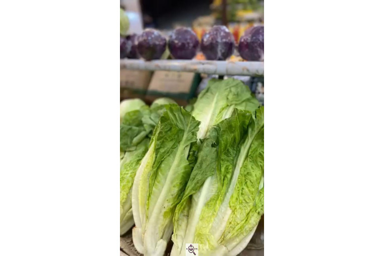 سوپر میوه باغ بهشت در مشهد