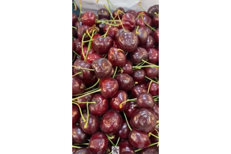 سوپر میوه باغ بهشت در مشهد