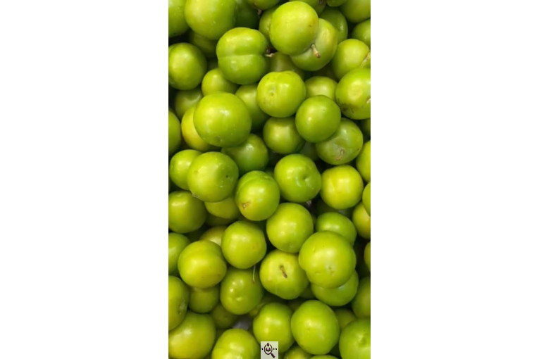 سوپر میوه باغ بهشت در مشهد