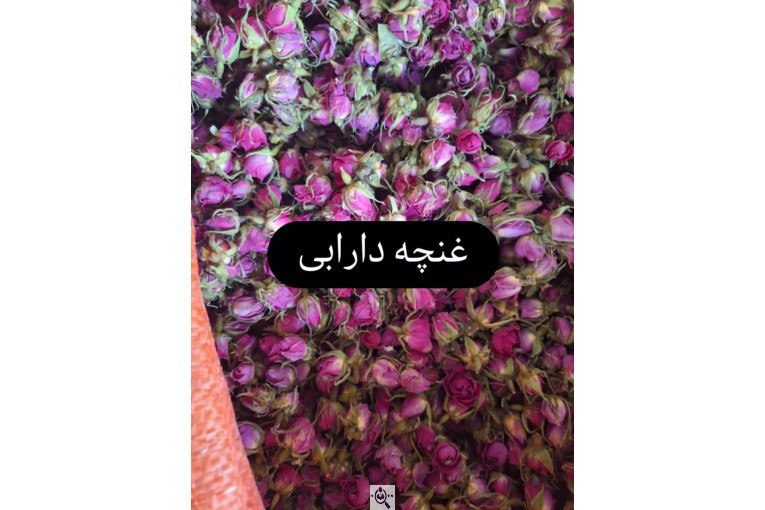 تولید و پخش عمده نعناع خشک و سبزیجات خشک اسلامی در شیراز