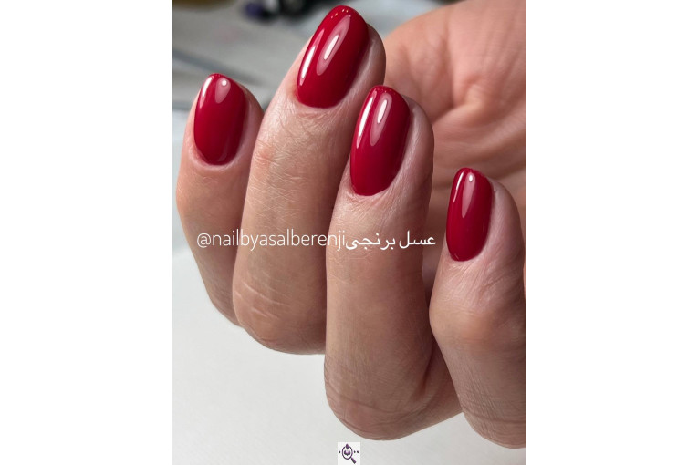 بهترین مربی و مدرس آموزش ناخن فنی حرفه ای در کرج @nailbyasalberenji