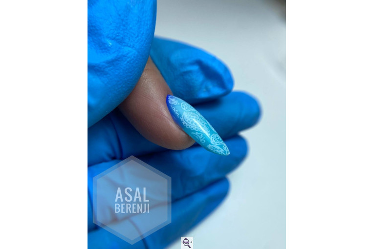 بهترین مربی و مدرس آموزش ناخن فنی حرفه ای در کرج @nailbyasalberenji