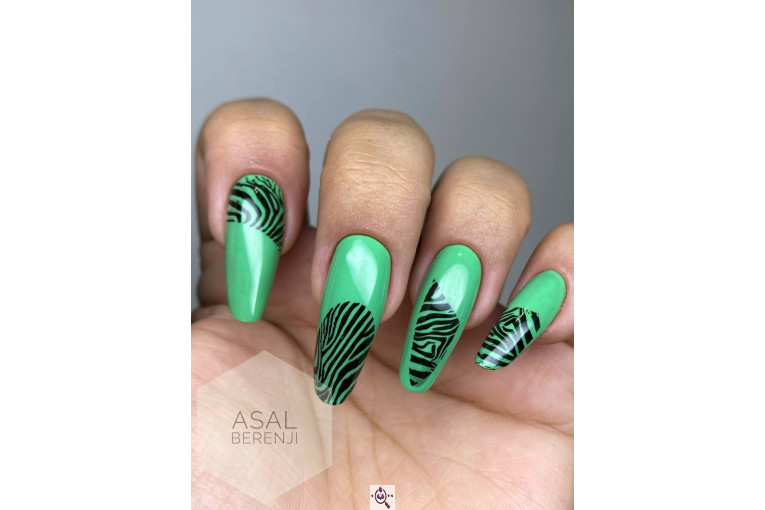 بهترین مربی و مدرس آموزش ناخن فنی حرفه ای در کرج @nailbyasalberenji