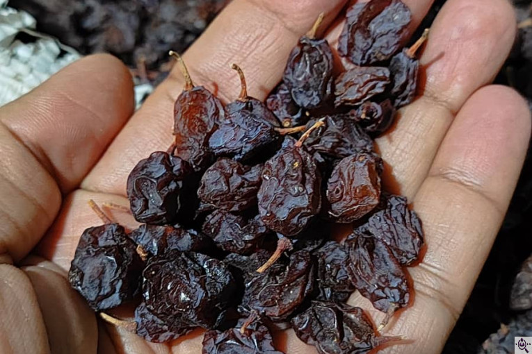 تولید کشمش و شیره انگور نوری در شهریار