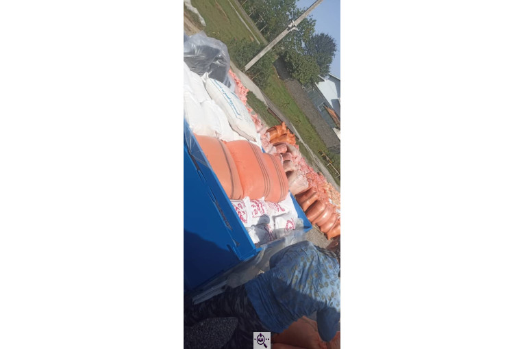 برنجکوبی خداپرست در سنگر