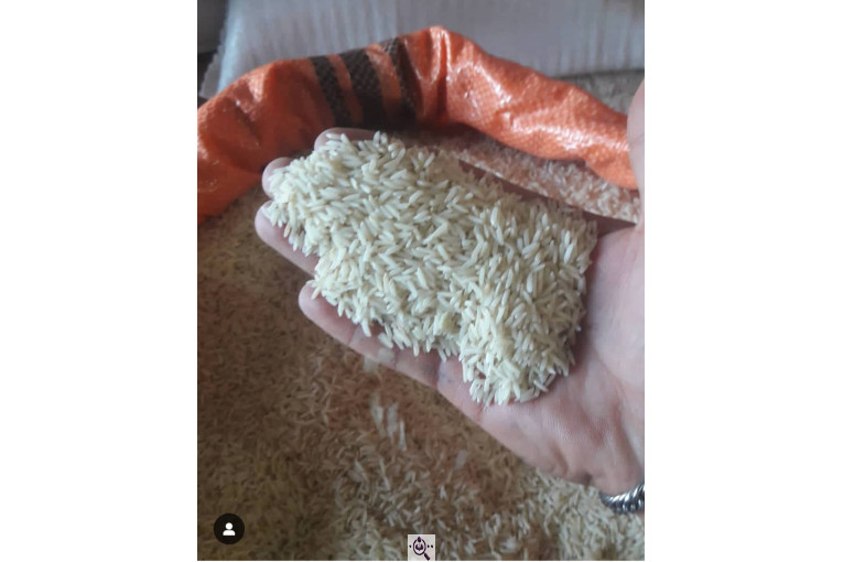 برنجکوبی خداپرست در سنگر