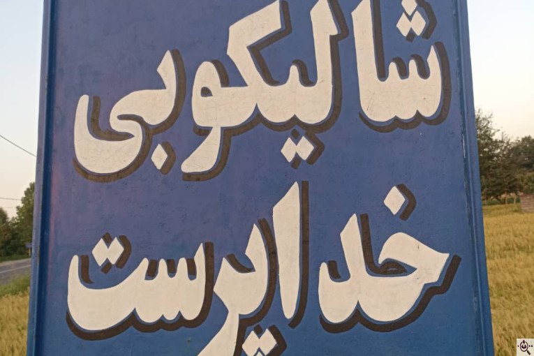 برنجکوبی خداپرست در سنگر