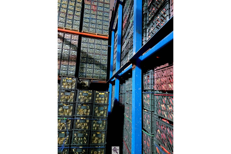 سردخانه احمدزاده در اشنویه