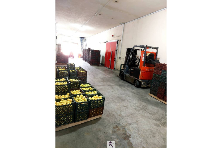 سردخانه احمدزاده در اشنویه