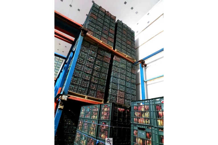 سردخانه احمدزاده در اشنویه