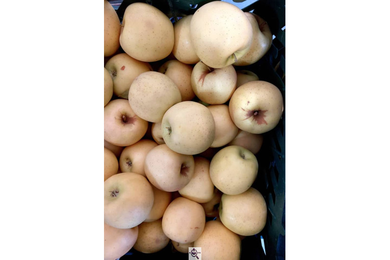 سردخانه احمدزاده در اشنویه