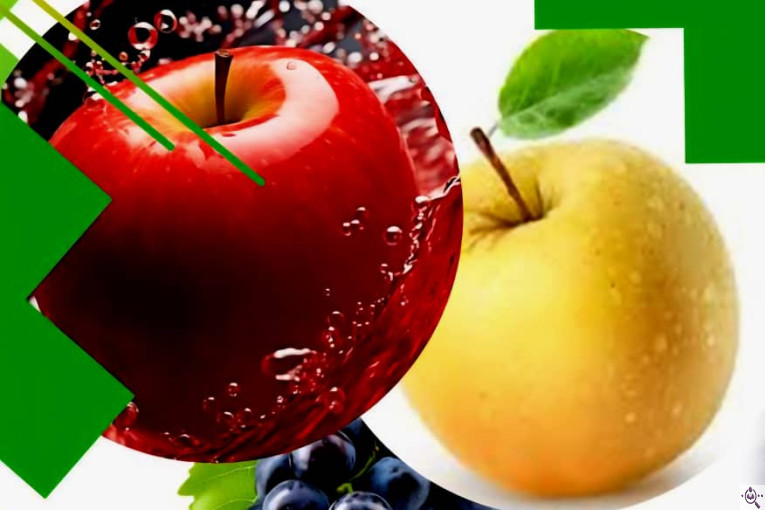 سردخانه احمدزاده در اشنویه