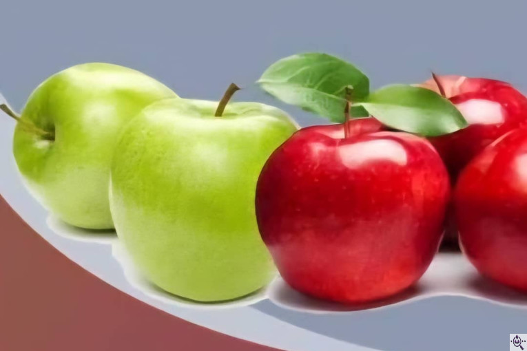 سردخانه احمدزاده در اشنویه