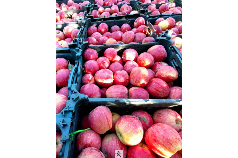 سردخانه احمدزاده در اشنویه