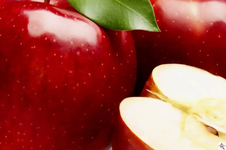 سردخانه احمدزاده در اشنویه