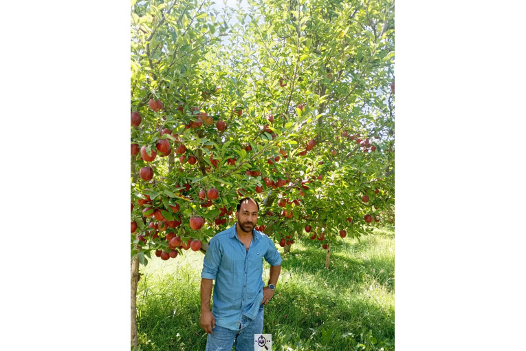 بارفروشی احد حبیبی و شرکا در تهران