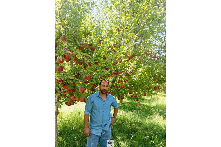 بارفروشی احد حبیبی و شرکا در تهران